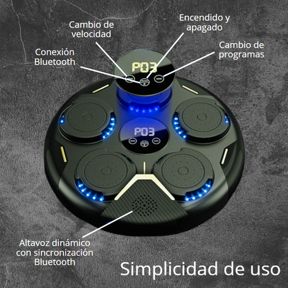 WallBox Trainer Bluetooth Máquina de Boxeo Inteligente